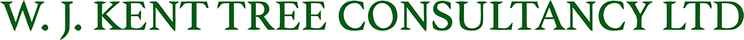 WJ Kent Tree Consultants
